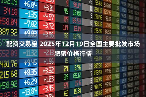 配资交易宝 2025年12月19日全国主要批发市场肥猪价格行情