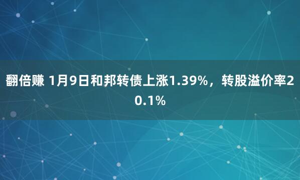 翻倍赚 1月9日和邦转债上涨1.39%，转股溢价率20.1%